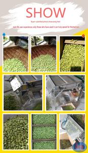 Machine à peler les pois verts électriques commerciale, décortiqueuse de soja pour edamame et fèves - Product Image 6