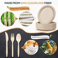 Assiettes jetables rondes en bagasse de canne à sucre biodégradables et compostables de 9 pouces pour pique-nique