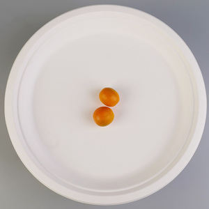 Disposable Paper <strong>Plate</strong> Kindergarten Handmade <strong>DIY</strong> Painting Cake Barbecue Tray Paper <strong>Plate</strong> Large Paper <strong>Plate</strong> 12 Inch - Product Image 5