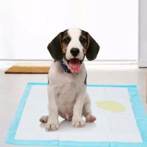 Fabricant de tapis pour chiots personnalisables OEM, imperméables, à forte absorption, jetables - Product Image 4
