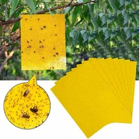 Dubbelzijdige gele gel insectenvanger, hoge kleefkracht, 250-750ml capaciteit, vliegende insecten, fruitvliegen, ongediertebestrijding, 480 uur werking