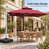 Parasol cantilever de jardin 3x4m avec lumières LED multicolores sur les bords, parasol de terrasse en aluminium 10x13 pieds pour les grossistes