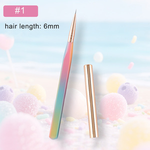 Pinceau à ongles en plastique avec manche dégradé arc-en-ciel, style japonais, pour gel 3D, liner français, peinture, manucure, salon de beauté - Product Image 6