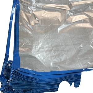 Triệu Không Thấm Nước Tarp Mặt Trời Nơi Trú Ẩn Tam Giác Màu Xanh Và Bạc Sakoline Vải 90gblue Và Bạc - Product Image 4