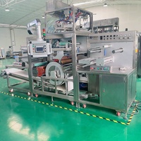 Capsule de haute qualité de Guangzhou de machine de perle de blanchisserie faisant la machine à emballer