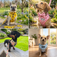 Ensemble Harnais pour Animaux de Compagnie en Néoprène à Motif Personnalisé, Faible MOQ, Collier Réglable, Laisse, Nœud Papillon, Bandana, Porte-Sacs à Crottes – Fournisseur OEM ODM