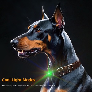 2025 Mini Control remoto interactivo recargable E-<span class=keywords><strong>Collar</strong></span> entrenamiento de perros IP67 plástico impermeable recordatorios de vibración sin golpes para - Product Image 3
