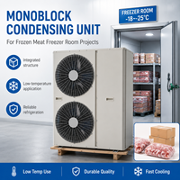 Unité de réfrigération monobloc 220V pour petites chambres froides, magasins de produits frais et refroidissement commercial