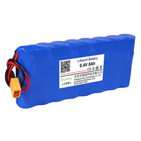 6.4V 8Ah 51.2Wh Paket Baterai Lithium Ion LiFePO4 Kustom Berdampingan dengan BMS untuk Sistem Keamanan Lampu Taman Tenaga Surya OEM ODM