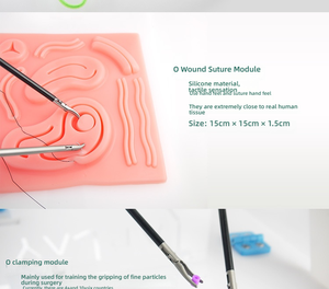 Fabrikant Directe Verkoop Laparoscopische Chirurgie Training Dummy Set Gesimuleerde Chirurgische Instrumenten En Gereedschappen - Product Image 3