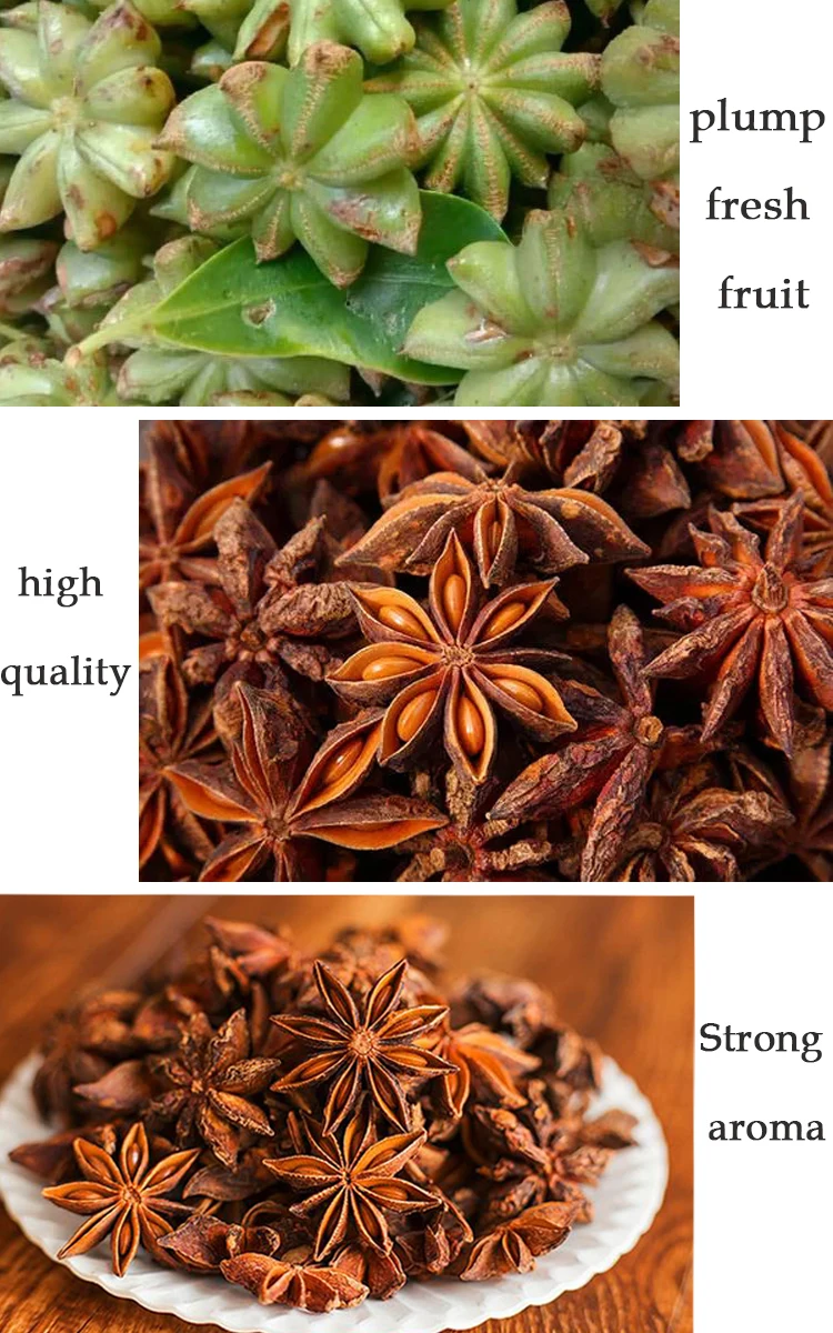 100g Premium Star Anise Premium spice seasoning Autumn aniseed from Guangxi, China