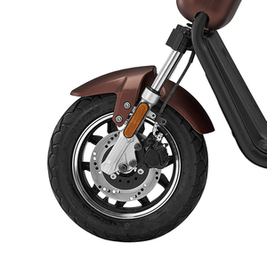Trottinette de haute qualité avec pneus de 10 pouces, batterie 30 Ah, moteur 1000 W, vitesse de 45 km/h, conception à deux roues, trottinette Q3 - Product Image 6