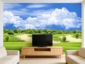 Papel Tapiz Impermeable de Paisaje Campestre Verde Fresco |   Mural de Paisaje Natural con Diseño Moderno de Cielo <span class=keywords><strong>Azul</strong></span> y Nubes Blancas para - Product Image 5