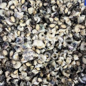 Tranches de conque assaisonnées <span class=keywords><strong>wasabi</strong></span> japonais surgelé Conque à la moutarde au goût sucré Apéritif prêt à manger Repas pratique pour les enfants - Product Image 3