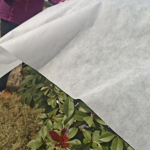 ผ้าไม่ทอ PP ผ้าใยสังเคราะห์เป็นมิตรต่อสิ่งแวดล้อมผ้าใยสังเคราะห์ spunbond spunbond - Product Image 1