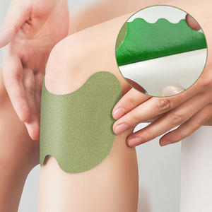 OEM ODM 개인 라벨 쑥 자체 발열 목 등 통증 완화 석고/통증 완화 패치 - Product Image 2