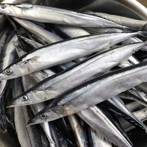 Saury entier congelé 100% poisson entier, <span class=keywords><strong>pêche</strong></span> durable <span class=keywords><strong>de</strong></span> notre propre flotte, ingrédients pour sushi japonais, certifié ISO HACCP HALAL, en vrac - Product Image 1