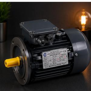 Motor de Inducción Trifásico de 1 kW para Uso Industrial, Voltaje CA, 1440 RPM, Montaje con Brida, Totalmente Cerrado - Product Image 4