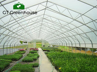 Qualité Hoophouse pour la Culture De Semences