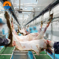 Equipo de Sacrificio de Ovejas y Maquinaria para Mataderos, Línea de Sacrificio de Cabras, Proyecto Llave en Mano, Solución para Procesamiento de Carne Halal