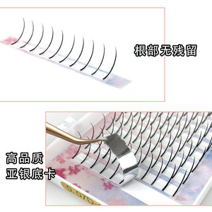 Extensiones de Pestañas de Pelo Natural, 120 Grupos, Curva C Natural, Curva D, Longitudes Mixtas de 8 a 18 mm, Para la Población en General - Product Image 4