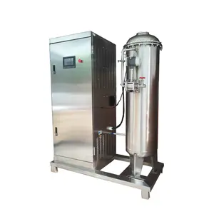 3kg/h Ozone Producing Device for Lime Plant Air Purifying