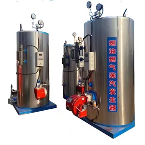 Professional Factory Boiler CNG Fired Steam Supplier