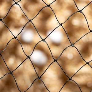 Filet <span class=keywords><strong>anti</strong></span>-oiseaux en plastique traité <span class=keywords><strong>anti</strong></span>-UV de haute qualité, clôture pour volailles, filet pour poulets - Product Image 1