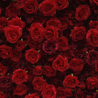 Mur de fleurs 5D personnalisé multicolore enroulable, décoration murale de mariage avec roses rouges