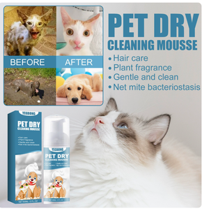 Mousse nettoyante sèche douce sans rinçage pour animaux de compagnie, parfum naturel, pour chiot, chaton, utilisation à domicile ou en extérieur, nettoyage du pelage - Product Image 2