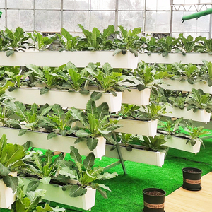 Sistema de cultivo de <span class=keywords><strong>lechuga</strong></span> de tubería de PVC de cultivo hidropónico <span class=keywords><strong>vertical</strong></span> de fresa Maxpower sistema de canal NFT - Product Image 5