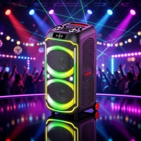 Speaker Portabel CSN-117 Dual 12 Inch untuk Pesta, Daya Puncak 100W, Lampu LED RGB 7 Warna, Speaker TWS AUX