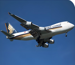 บริการขนส่งทางอากาศไปยังเซี่ยงไฮ้เปเทอร์สเบิร์กสำหรับการขนส่งสินค้าอิเล็กทรอนิกส์ทั่วไปและส่งเอกสารด่วน - Product Image 3