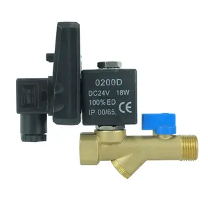 DKV DN10 bsp berulir 2/2 cara air otomatis kuningan katup pembuangan Solenoid dengan Timer katup kontrol solenoid