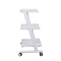Chariot de rangement mobile pour équipement de beauté, chariot cosmétique, chariot facial, chariot de manucure, chariot pour salon de beauté