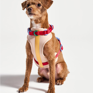 <span class=keywords><strong>Harness</strong></span> Anjing Kucing Desainer <span class=keywords><strong>2026</strong></span>, Produsen Mewah, Kualitas Tinggi, Fashion, Logo Kustom, Bernapas, Tahan Lama - Product Image 6