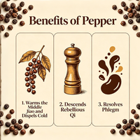 Zwarte peper extract poeder - Zwarte peper supplementen, Piperine supplementen - Vegan & glutenvrij
