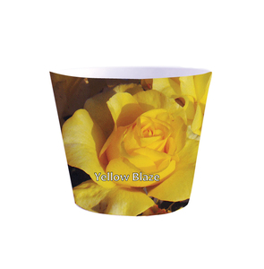 Couverture d'emballage de <span class=keywords><strong>pot</strong></span> de gallon de fleur jaune de rose d'escalade pour décorer le planteur - Product Image 1