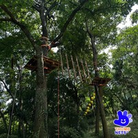 Parc forestier commercial personnalisable avec parcours de cordes, pont suspendu en nylon, tyrolienne, escalade multi-niveaux, parcours d'obstacles et tunnel de grimpette