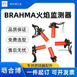Detector/sensor/generador de llama original Brahma FC7/FC8 para detección de combustión - Product Image 2