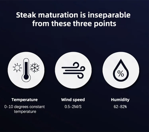 <span class=keywords><strong>Petit</strong></span> compresseur de contrôle de la température de l'humidité intégré de 154 <span class=keywords><strong>litres</strong></span> Réfrigérateur de viande de steak de boeuf vieilli sec - Product Image 5