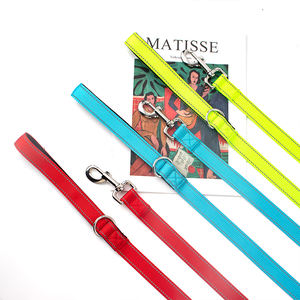 Hot Selling Traditional Nylon <b>Dog</b> <b>Leash</b> Classic Solid Color Strong Durable Easy-to-Use Alloy Collar Hook Soft Plastic Features - Product Image 3