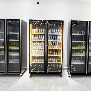 Refrigerador Vertical de Buena <span class=keywords><strong>Calidad</strong></span> y <span class=keywords><strong>Precio</strong></span> para Bebidas, Uso Comercial en Bares, Congelador de Exhibición Popular con Descongelación Automática - Product Image 3