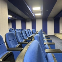 Chaise d'auditorium multicolore avec revêtement personnalisé en acier pour église, théâtre, hôtel, salle de conférence, sièges publics