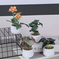 Bon marché Faux mini plastique moderne Décoration intérieure de la maison Bonsaï artificiel Fleurs Plantes avec pot