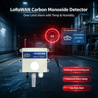 Detektor Karbon Monoksida LoRaWAN dengan Alarm & Pengukur Suhu Kelembaban untuk Keamanan Tempat Parkir Bawah Tanah dan Pabrik Kimia
