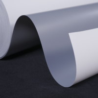 Film PVC rétroéclairé éco-solvant pour publicité extérieure 220 g/m² 135 microns Film pour boîte lumineuse Imperméable Mat/Brillant