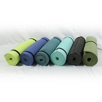 Vert clair Pacnic Camping Randonnée Voyage Yoga Exercice Matelas de couchage Tapis étanche à l'humidité Tapis de camping pliable en mousse EVA