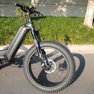 Bicicleta Eléctrica con Motor Trasero de 750W, Batería de 48V 15Ah/30Ah, Velocidad de 50KM/H, HD750 750W Motor Trasero - Product Image 4