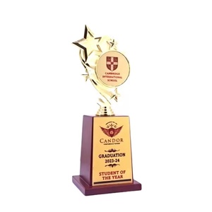 Fournisseur direct d'usine, trophées en métal de haute qualité pour les entreprises, trophées étoiles, récompenses pour les étudiants, récompenses pour les longues années de service, plaques de récompenses, design - Product Image 1